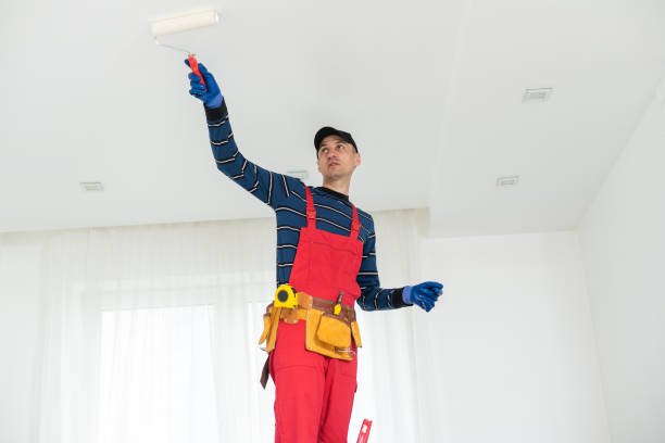 Best Water-Damaged Drywall Repair  in Piedmont, CA